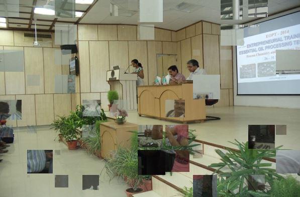 Central Institute of Medicinal and Aromatic Plants Lucknow Campus photo 3