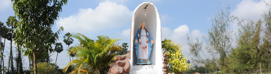 DMI College of Education Chennai Campus photo 1