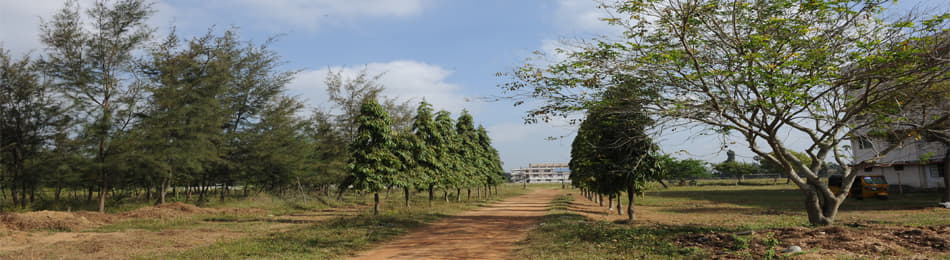 DMI College of Education Chennai Campus photo 2