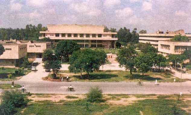 College of Veterinary Sciences Hisar Campus photo 4