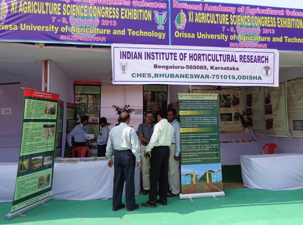 Indian Institute of Horticultural Research Bangalore Infrastructure photo 10