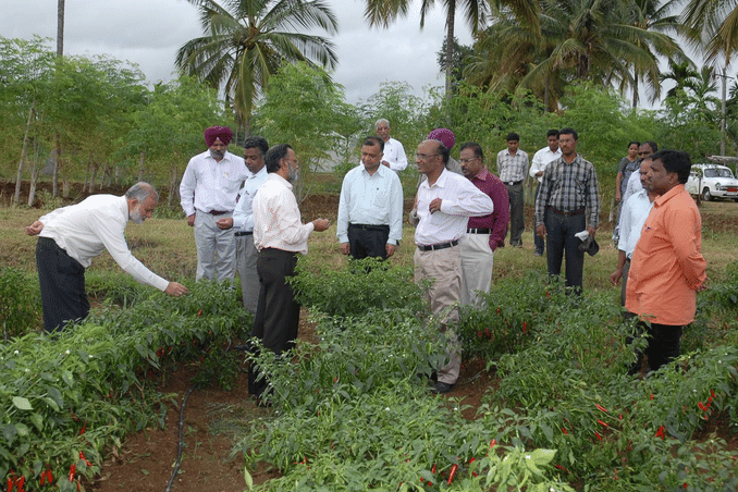 Indian Institute of Horticultural Research Bangalore Infrastructure photo 8