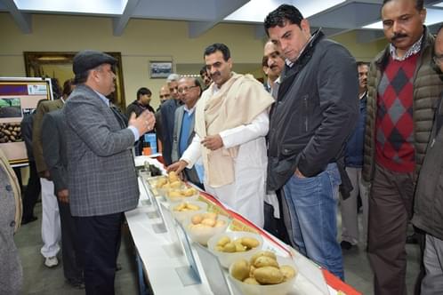 Indian Institute of Sugarcane Research Lucknow Infrastructure photo 13