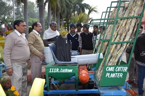 Indian Institute of Sugarcane Research Lucknow Infrastructure photo 4