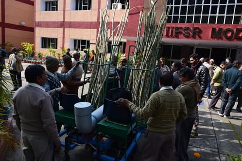 Indian Institute of Sugarcane Research Lucknow Infrastructure photo 5