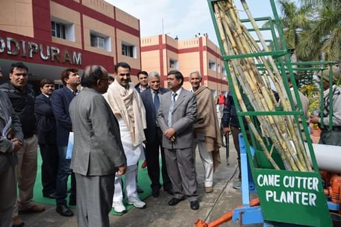 Indian Institute of Sugarcane Research Lucknow Infrastructure photo 8