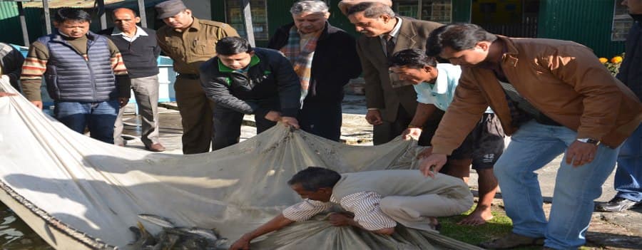 Directorate of Coldwater Fisheries Research Nainital Campus photo 9