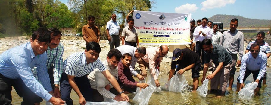 Directorate of Coldwater Fisheries Research Nainital Campus photo 10