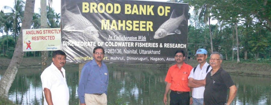 Directorate of Coldwater Fisheries Research Nainital Campus photo 11