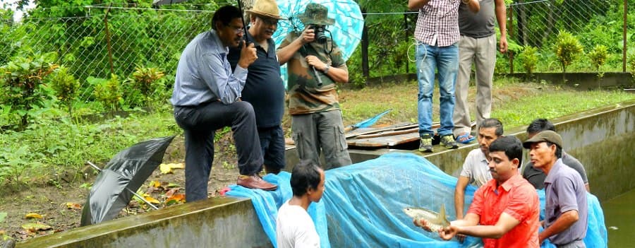 Directorate of Coldwater Fisheries Research Nainital Campus photo 12