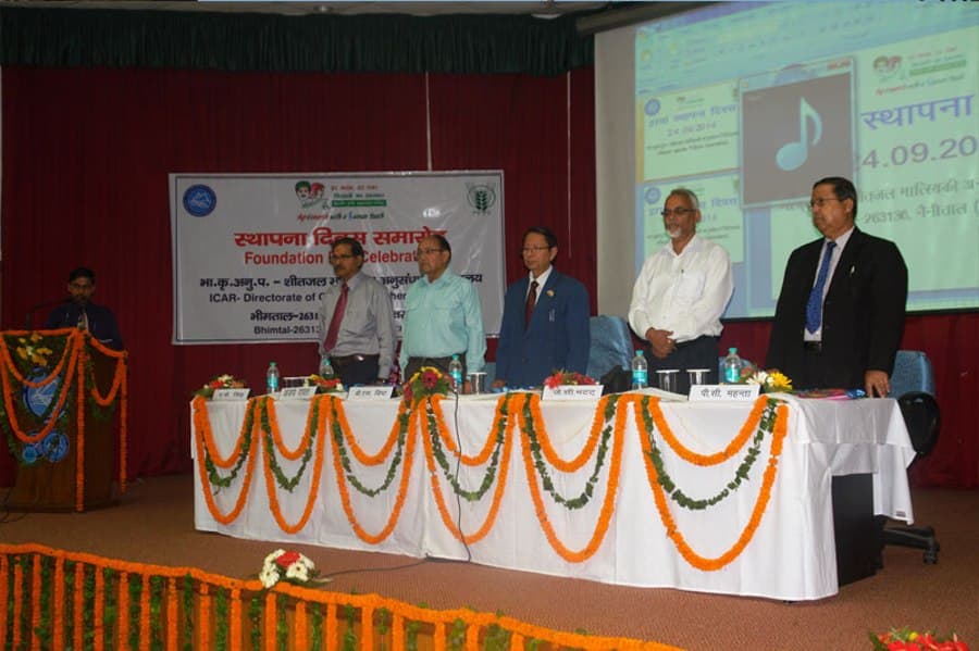 Directorate of Coldwater Fisheries Research Nainital Campus photo 13