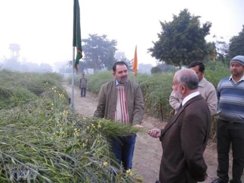 Directorate of Rapeseed Mustard Research Bharatpur Campus photo 6