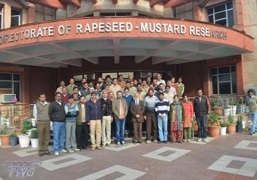 Directorate of Rapeseed Mustard Research Bharatpur Campus photo 4
