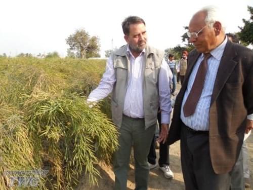 Directorate of Rapeseed Mustard Research Bharatpur Campus photo 8