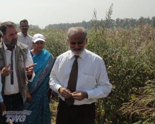 Directorate of Rapeseed Mustard Research Bharatpur Campus photo 2