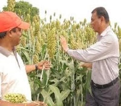 Directorate of Sorghum Research Hyderabad Campus photo 1