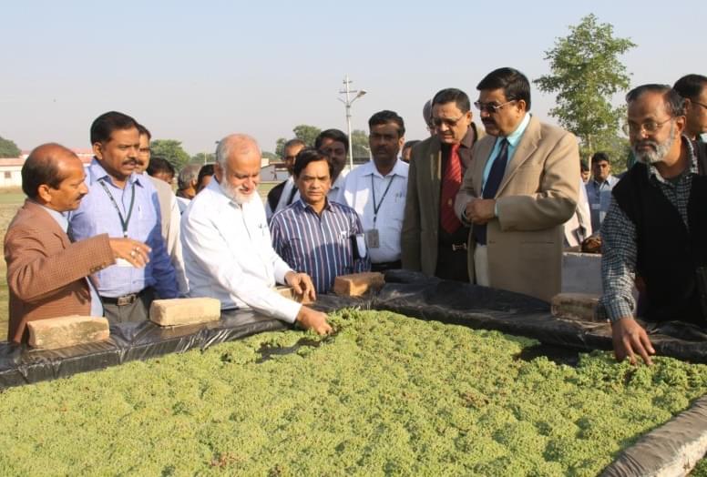 Indian Grassland and Fodder Research Institute Jhansi Campus photo 1