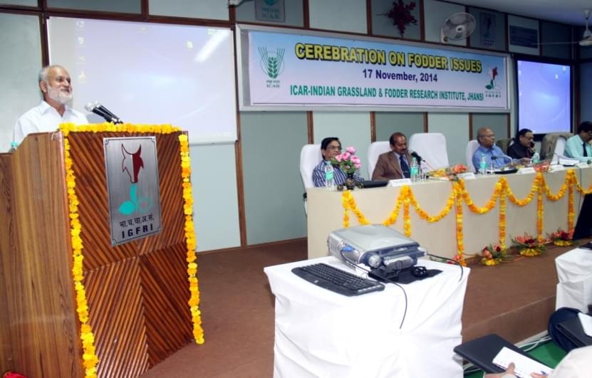 Indian Grassland and Fodder Research Institute Jhansi Campus photo 2