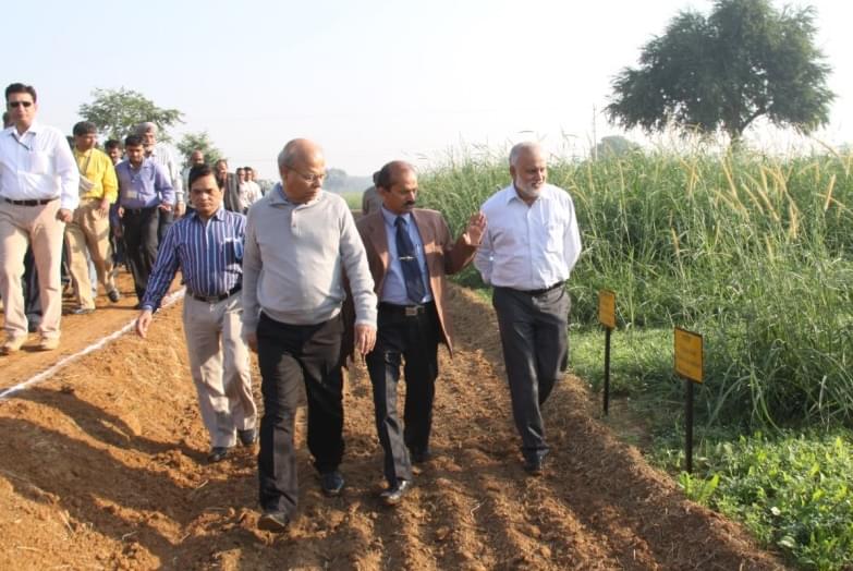 Indian Grassland and Fodder Research Institute Jhansi Campus photo 6