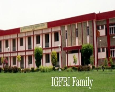Indian Grassland and Fodder Research Institute Jhansi Campus photo 7