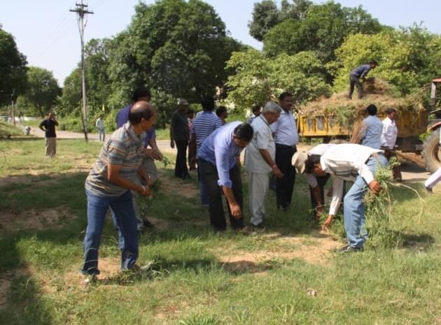 Indian Grassland and Fodder Research Institute Jhansi Campus photo 9