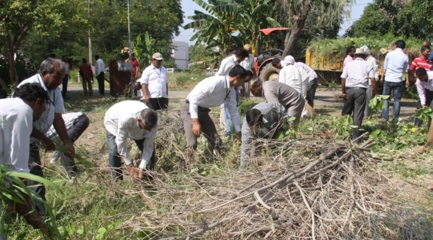 Indian Grassland and Fodder Research Institute Jhansi Campus photo 13