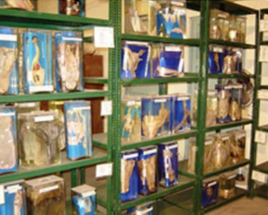 Krantisinh Nana Patil College of Veterinary Science Satara Infrastructure photo 2