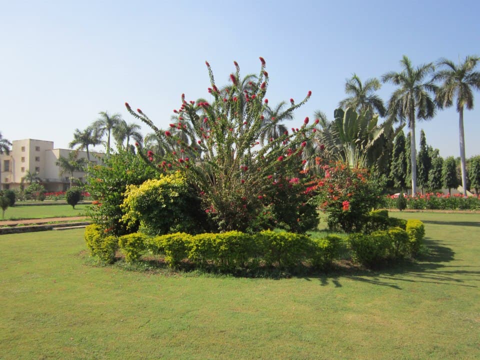 BA College of Agriculture Anand Academic Building photo 12