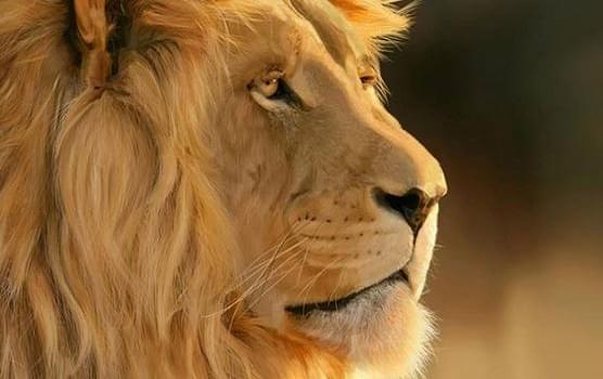 Big Animation Infotainment and Media School Jaipur General photo 7