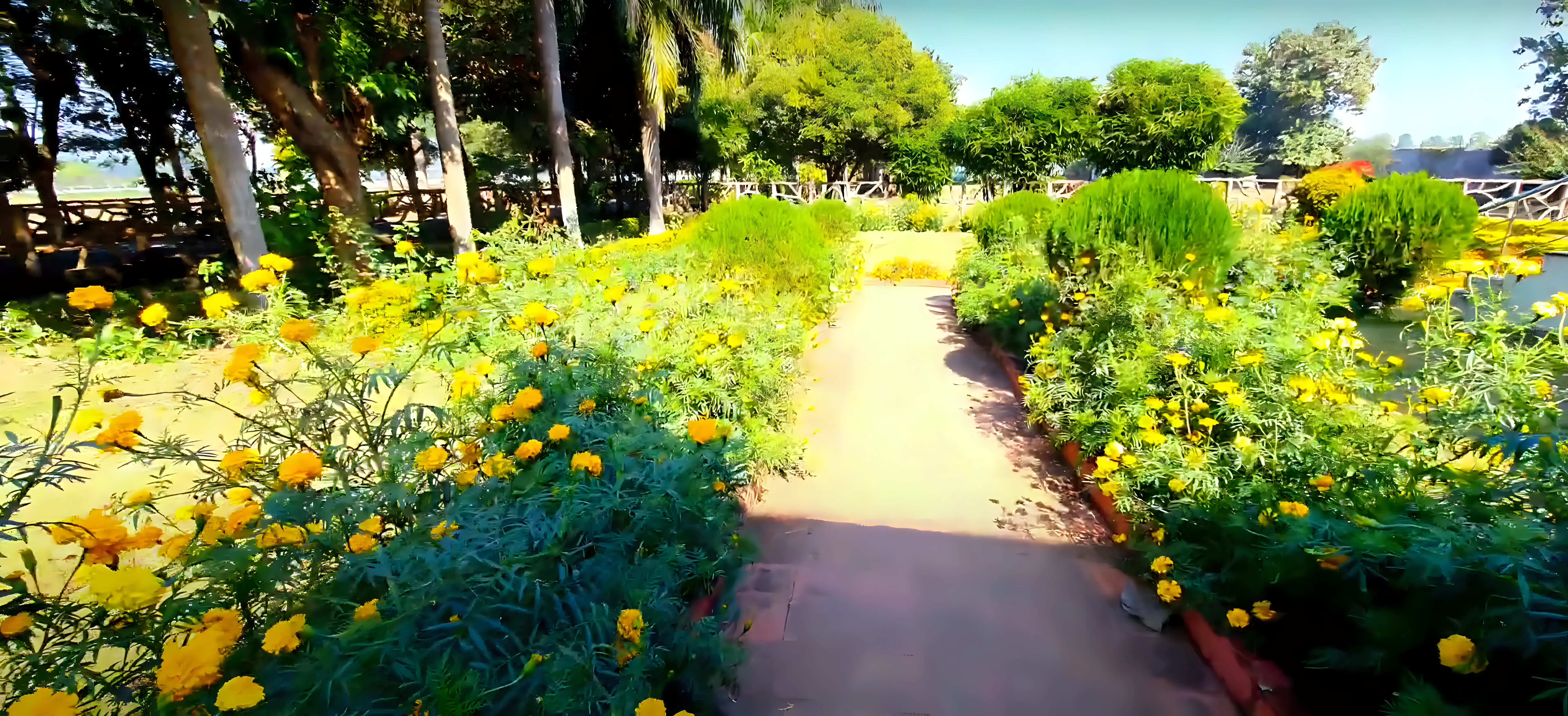 MITS Rayagada Campus photo 6