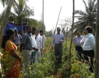 National Bureau of Agricultural Insect Resources Bangalore Events photo 5