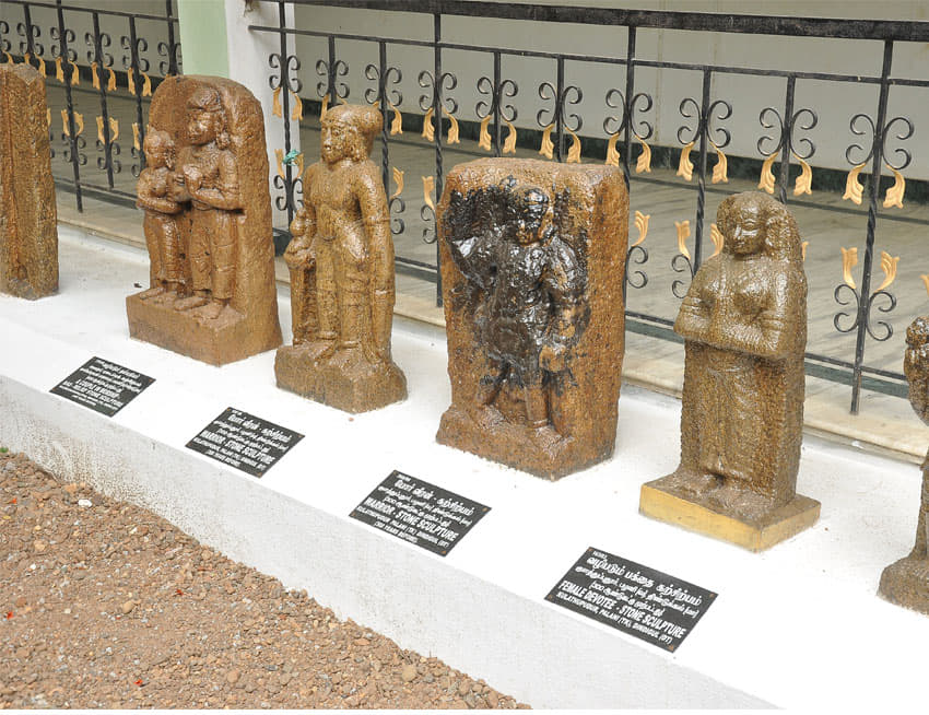 Vellalar College for Women Campus photo 3