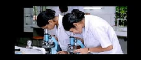 Seth Govind Raghunath Sable College of Pharmacy Saswad Pune Campus photo 8