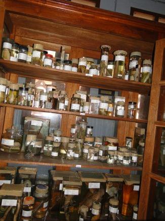 All Saints' College Thiruvananthapuram Campus & Infrastructure photo 2