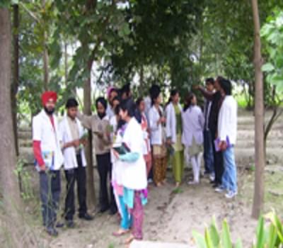 Guru Nanak Ayurvedic Medical College and Research Institute Ludhiana Campus photo 5