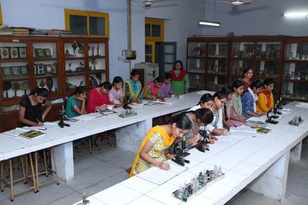 Government College for Girls Ludhiana Infrastructure photo 5