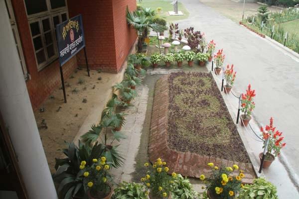 Government College for Girls Ludhiana Campus photo 2