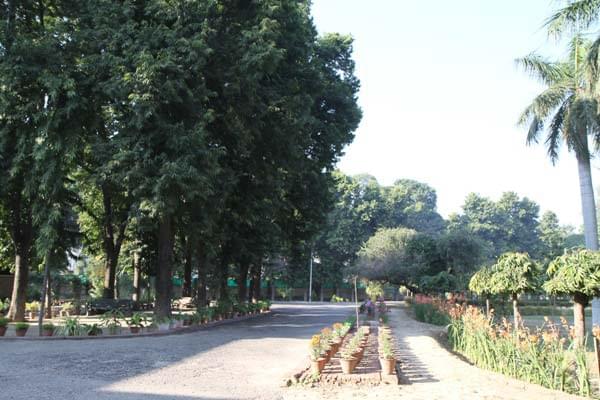 Government College for Girls Ludhiana Campus photo 3