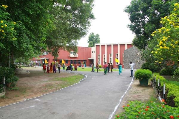 Government College for Girls Ludhiana Campus photo 4