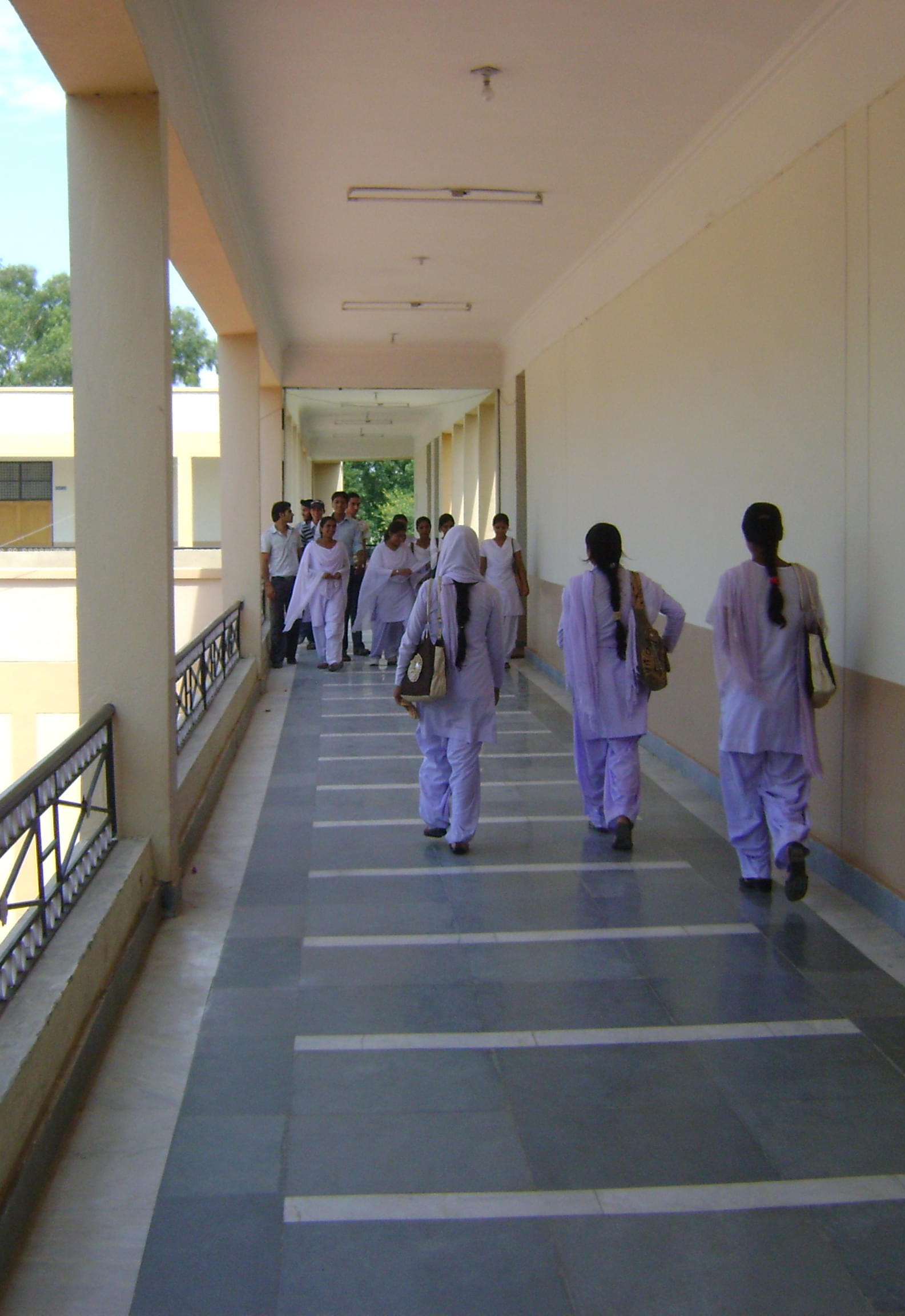 Government Degree College Jammu Campus photo 4