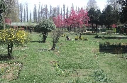 Government Degree College for Boys Anantnag Campus photo 4