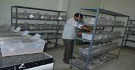 Agnihotri College of Pharmacy Wardha Infrastructure photo 3