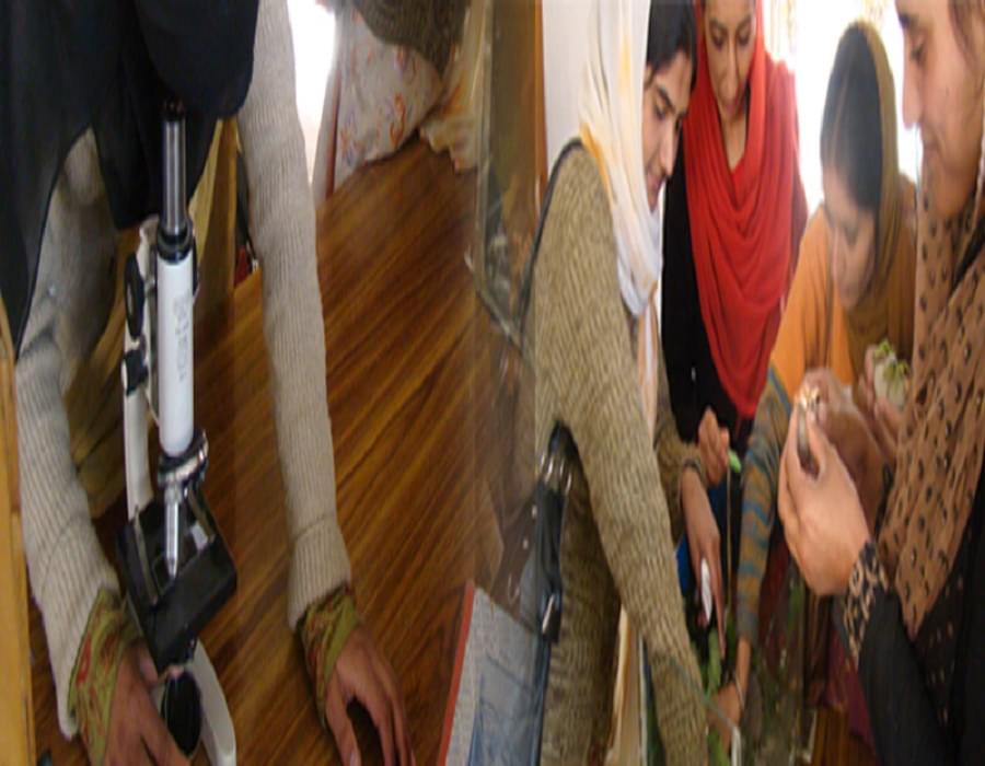 Green Valley College of Education Research and Trainings Anantnag Academic Building photo 2