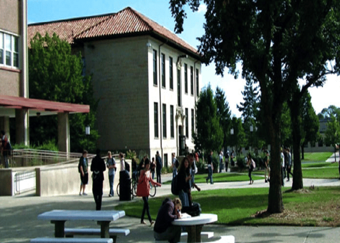 St Wilfreds College of Law Jaipur Academic Building photo 4