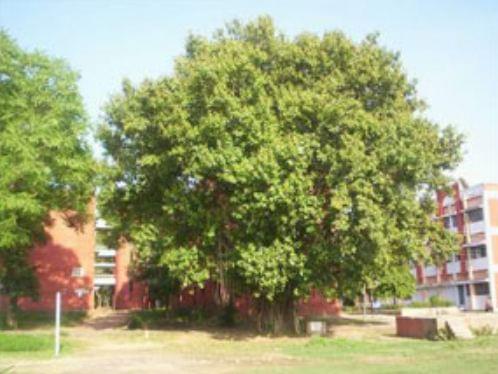 KNIPSS Campus photo 3