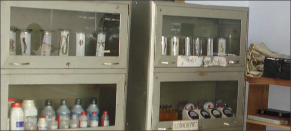 Bhai Surender Kumar Memorial College of Education Jind Infrastructure photo 1