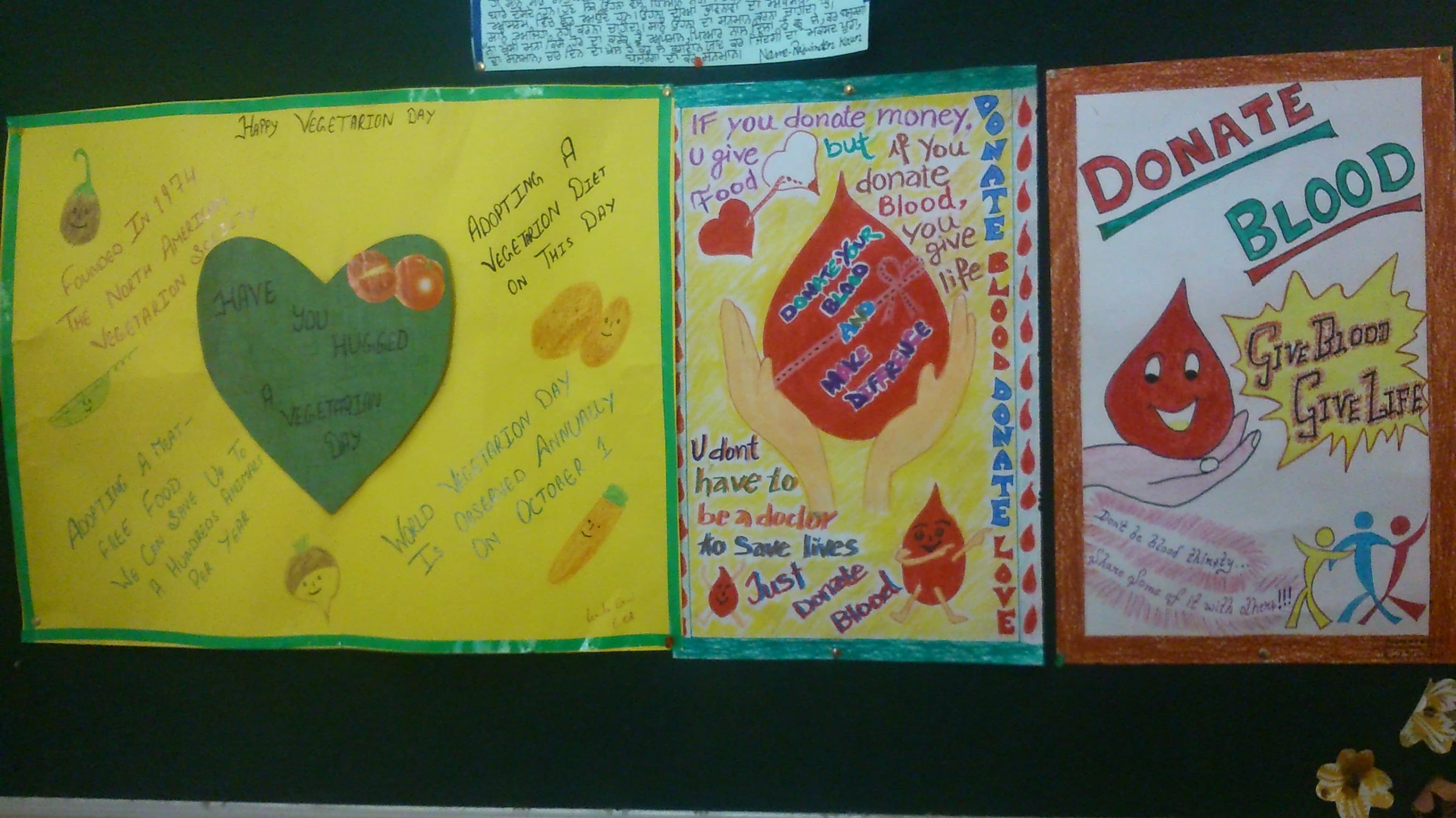 Divya Shiksha Gurukul College of Education Patiala Infrastructure photo 7