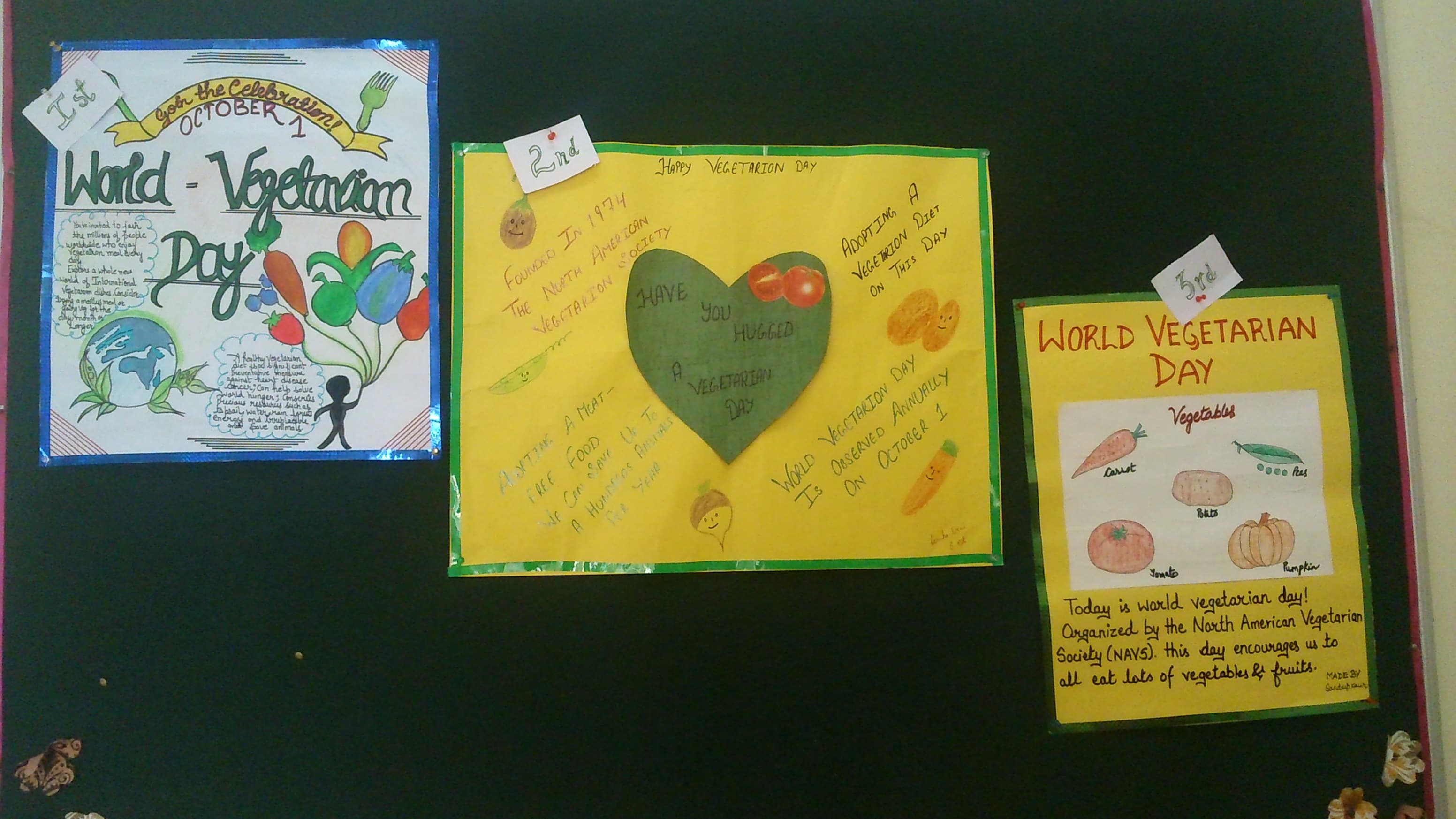 Divya Shiksha Gurukul College of Education Patiala Infrastructure photo 9