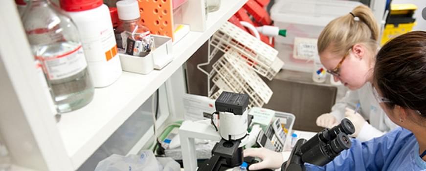 Bhava Institute of Medical Science and Research Bhubaneswar Academic Building photo 4