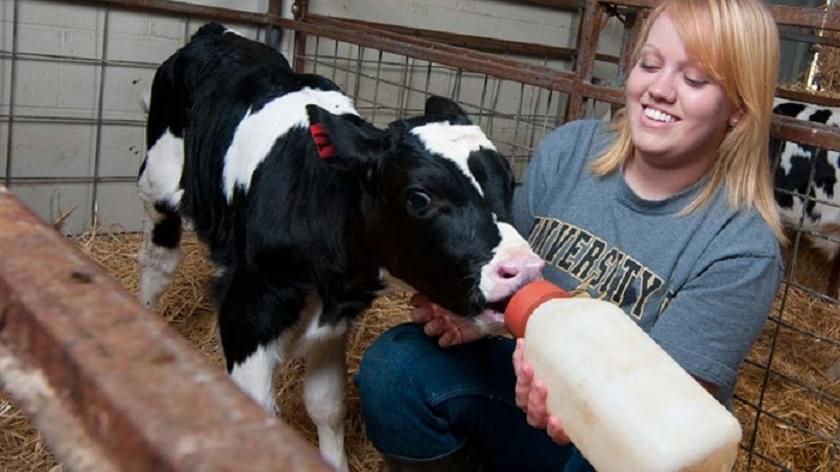 BVC Mumbai College Images photo 4